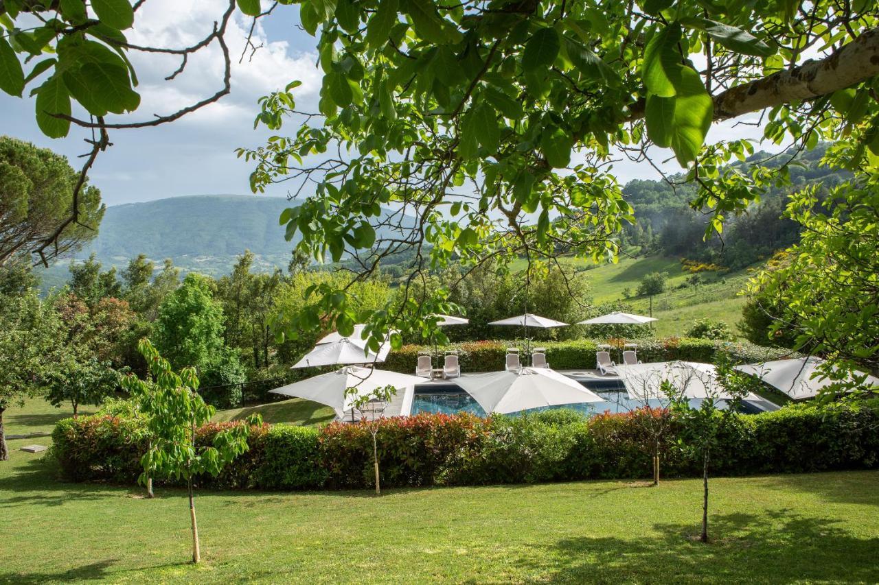 Residence Serena Asís Exterior foto